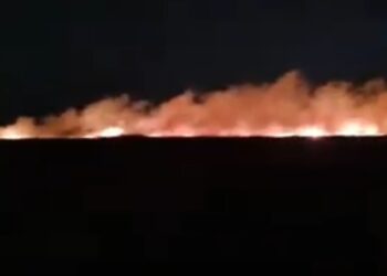 Un alt incendiu a afectat circa 60 de hectare de stuf și vegetație uscată în localitatea Comăneasca
