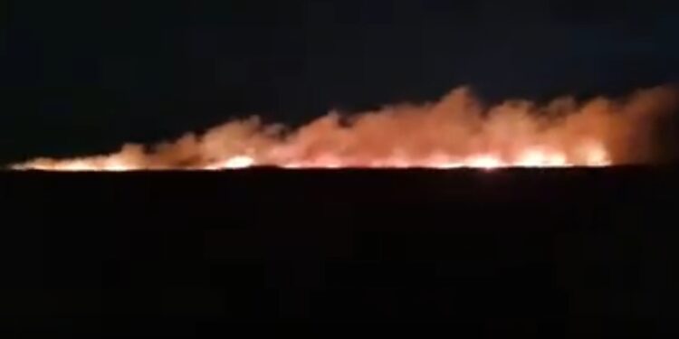 Un alt incendiu a afectat circa 60 de hectare de stuf și vegetație uscată în localitatea Comăneasca