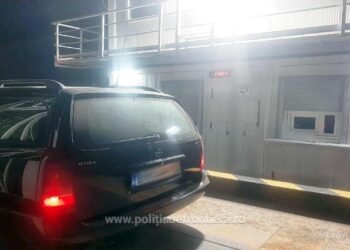 La volan fără drept și la furat de lucernă