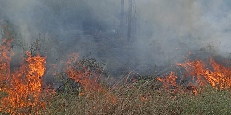 Doi jandarmi ai postului din stațiunea Lacu Sărat au intervenit, din nou, pentru lichidarea unui incendiu de vegetație