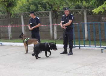 Ziua Porților Deschise ocazionată de împlinirea a 129 de ani de la adoptarea Legii privind înființarea Jandarmeriei Rurale