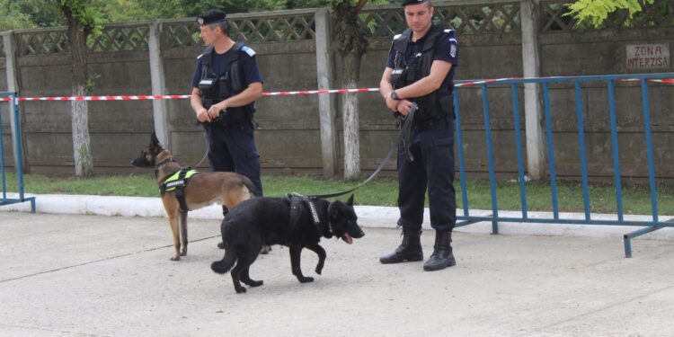 Ziua Porților Deschise ocazionată de împlinirea a 129 de ani de la adoptarea Legii privind înființarea Jandarmeriei Rurale