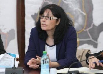 Deputatul PUSL, Steluța Cătăniciu, cere publicarea numelui furnizorului de energie care își bate joc de români