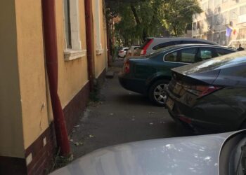 Cătălin Canciu (PNL): Primarul Dragomir nu a contribuit cu nimic la salvarea Casei Memoriale Ana Aslan şi nici nu sprijină promovarea ei din punct de vedere turistic
