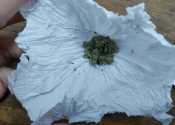 Substanțe susceptibile a avea efecte psihoactive depistate de jandarmi asupra a doi tineri brăileni