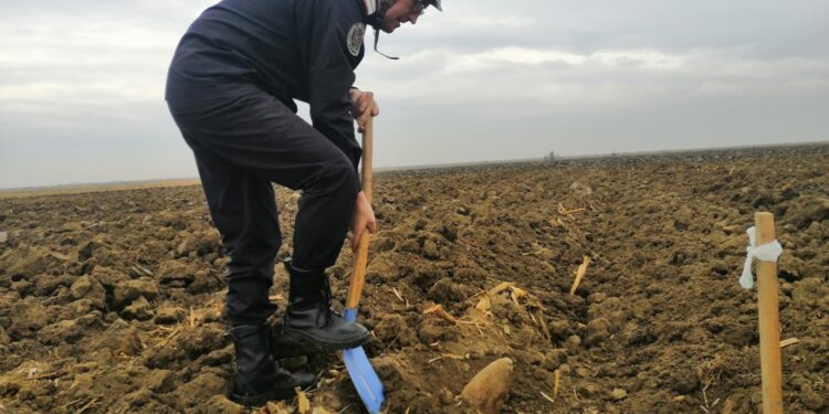 Echipa pirotehnică a ISU Brăila a executat o misiune de asanare a terenului de muniţie rămasă neexplodată din timpul celui de-al Doilea Război Mondial