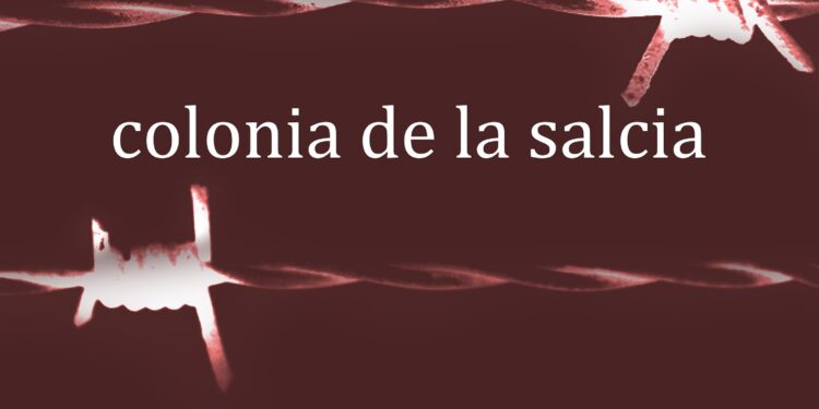 Dezbatere despre Colonia de la Salcia