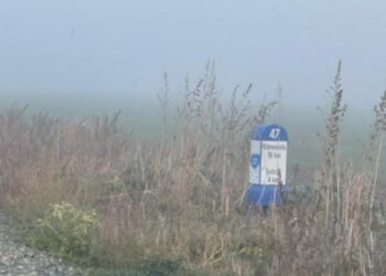 Alexandru Bucălău: ”Iarba de pe marginea drumurilor judeţene este cosită doar pe hârtie. Chiriac anunţă că s-au finalizat nişte lucrări care nici nu au început”