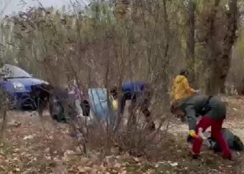 Video: Acțiune de ecologizare desfășurată pe malul Dunării de refugiații din Ucraina găzduți în Brăila