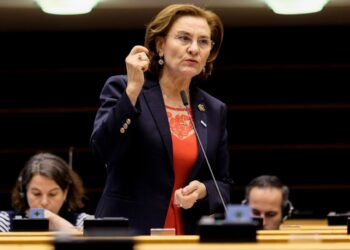 Europarlamentarul român Maria Grapini pune problema reclamării Olandei la Curtea Europeană de Justiție