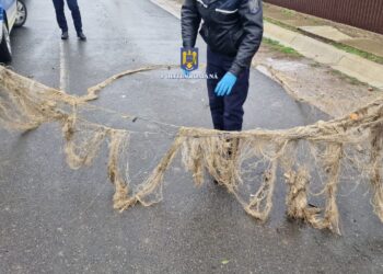 Percheziții la domiciliile a cinci persoane, pe raza comunei Frecăței, județul Brăila