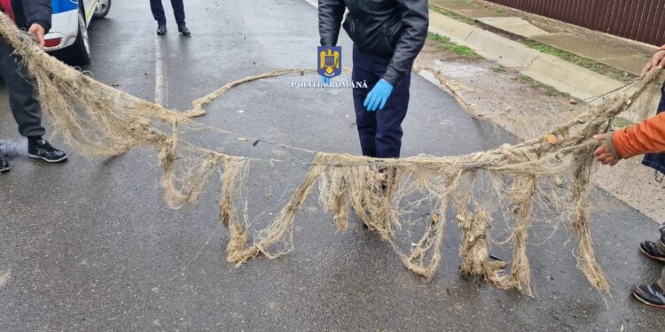 Percheziții la domiciliile a cinci persoane, pe raza comunei Frecăței, județul Brăila