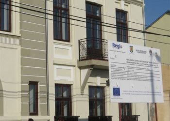 Acordarea unor tichete sociale pe suport electronic pentru nou născuți