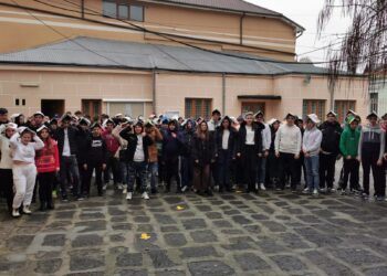 Colegiul economic Ion Ghica din Brăila s-a alăturat campaniei inițiată de Narada „Salvează o școală !”