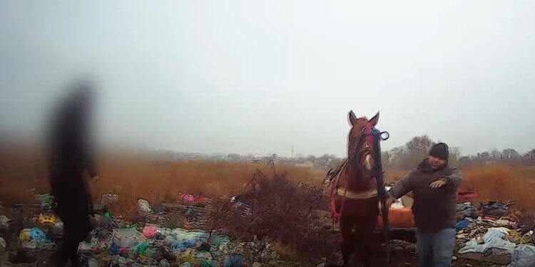 Video: Poliția Locală i-a confiscat căruța din care a descarcat pe domeniul public 20 de saci de rafie plini cu moloz