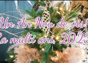 LA MULȚI ANI! PROBRĂILA vă urează un an nou fericit!