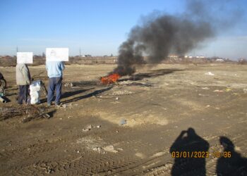 Polițiștii locali brăileni au sancționat 17 persoane care au fost surprinse încălcând prevederile în vigoare privind respectarea curățeniei pe domeniul public