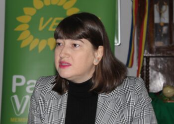 Lavinia Cosma, copreședinte Partidul Verzilor: Actualul ASF trebuie desființat