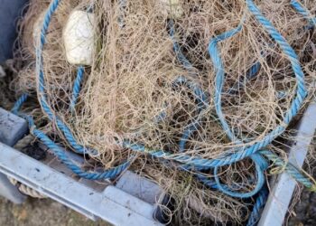 Percheziții în Urleasca și Traian în vederea prevenirii și combaterii braconajului piscicol