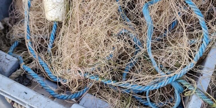 Percheziții în Urleasca și Traian în vederea prevenirii și combaterii braconajului piscicol