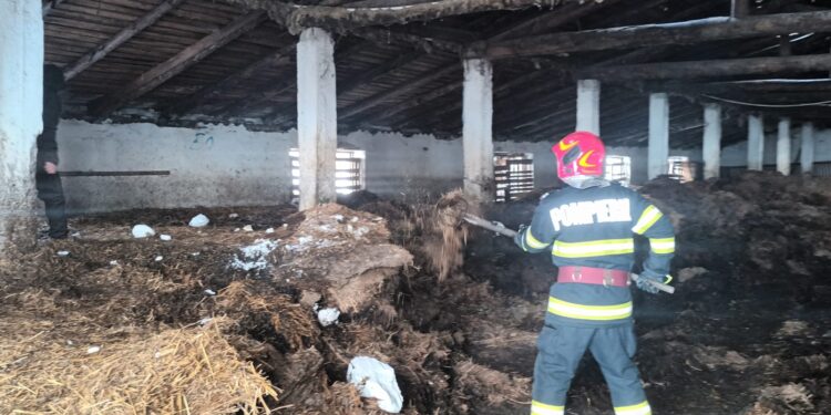 Intervenții ale pompierilor de la ISU Dunărea Brăila pentru stingerea a 5 incendii