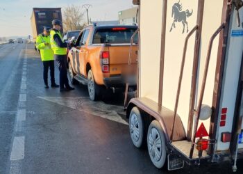 Acțiuni desfășurate de polițiștii din cadrul Biroului pentru Protecția Animalelor