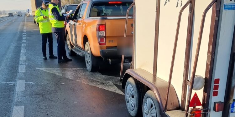 Acțiuni desfășurate de polițiștii din cadrul Biroului pentru Protecția Animalelor