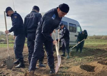 173 de ani de la înființarea Jandarmeriei,173 de pomi plantați de jandarmii brăileni
