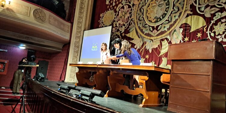Brăila Model United Nations la prima ediție
