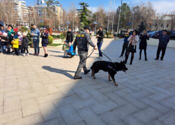 Galerie foto+video: Demonstrații pentru public de Ziua Poliției Române