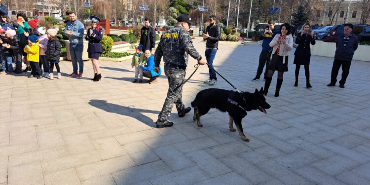 Galerie foto+video: Demonstrații pentru public de Ziua Poliției Române