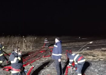 Pompierii brăileni au intervenit ieri pentru stingerea a patru incendii de vegetație