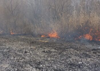 Opt incendii în weekend în județul Brăila. Un bărbat din Oancea mort în incendiu. O casă din Gropeni a ars în totalitate