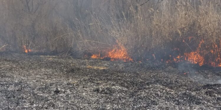 Opt incendii în weekend în județul Brăila. Un bărbat din Oancea mort în incendiu. O casă din Gropeni a ars în totalitate