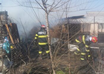 Video: Incendiu la o gospodărie din satul Latinu. Pompierii au intervenit și la un incendiu de vegetație uscată și stuf pe raza localității Zăvoaia