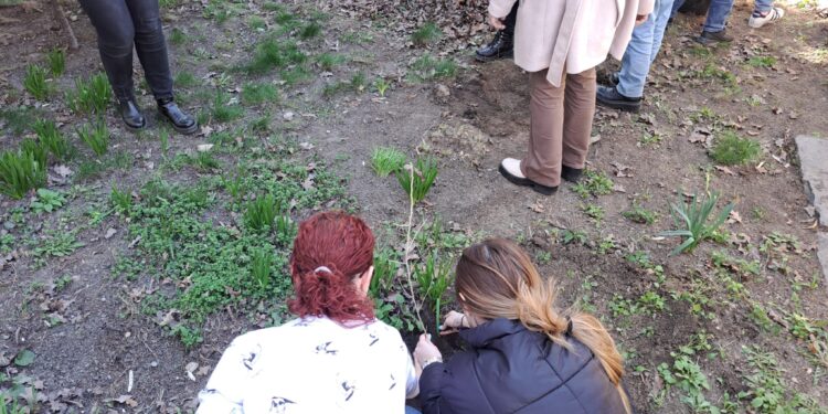Elevii de la Colegiul Național „Nicolae Bălcescu” au plantat puieți în curtea școlii