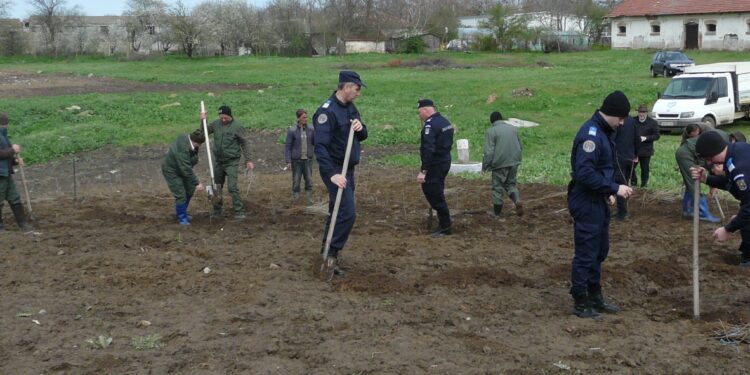 Acțiune de plantare puieți desfășurată de jandarmii brăileni împreună cu reprezentanți ai Direcției Silvice Brăila