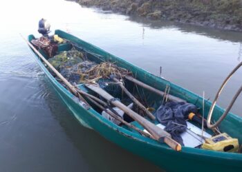 Braconaj piscicol pe pe brațul Vâlciu al Fluviului Dunărea