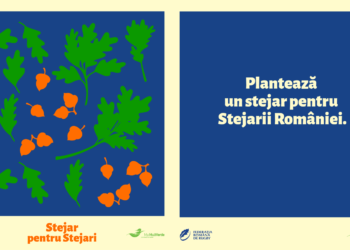 Un stejar pentru Stejarii României: Campanie de plantare de copaci în numele echipei naționale de rugby