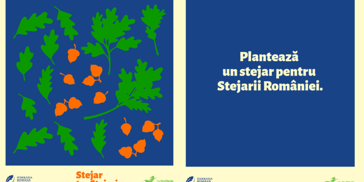 Un stejar pentru Stejarii României: Campanie de plantare de copaci în numele echipei naționale de rugby