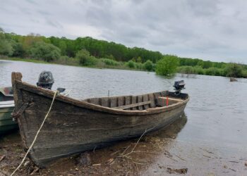Patru bărbați au fost depistați de jandarmi în timp ce se aflau la pescuit, într-o arie protejată și în plină perioadă de prohibiție