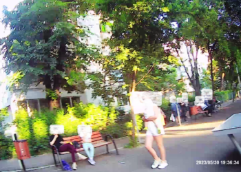 Spărgătorii de semințe pe domeniul public în vizorul Poliției Locale