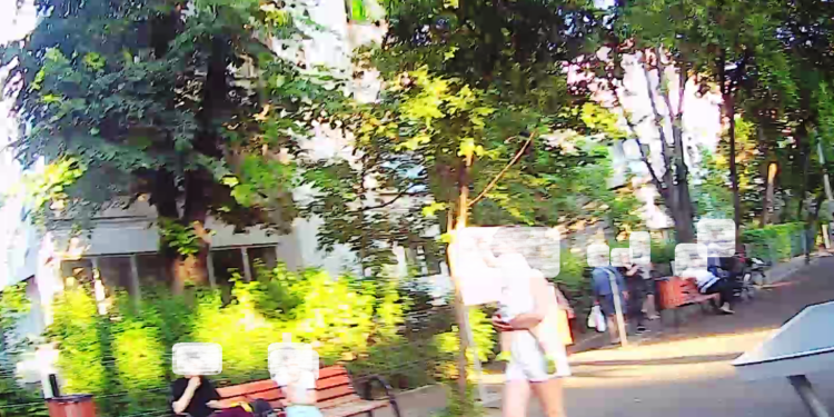 Spărgătorii de semințe pe domeniul public în vizorul Poliției Locale