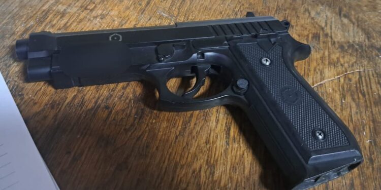 A aruncat într-un gard viu un pistol despre care, susține acesta, că ar fi fost de tip airsoft, în momentul în care a văzut echipajul de jandarmerie
