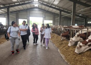 Liceul Gh. K. Constantinescu din Brăila mai aproape de Agricultura 4.0 prin programul „Creștem prin Educație Agricolă”, finanțat prin ADM Cares și implementat de World Vision România