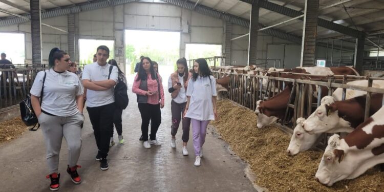 Liceul Gh. K. Constantinescu din Brăila mai aproape de Agricultura 4.0 prin programul „Creștem prin Educație Agricolă”, finanțat prin ADM Cares și implementat de World Vision România