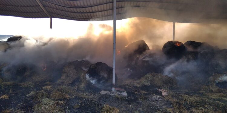 În cursul zilei de joi, 22 iunie, pompierii brăileni au intervenit pentru stingerea a șase incendii pe teritoriul județului