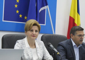 Marcela Daniela Costea, director general al Companiei Naționale „Administrația Porturilor Dunării Maritime” SA Galați: Gradul de realizare a lucrărilor de modernizare a Portului Brăila era de aproximativ 70%