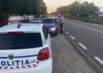 Acțiune de tip Blitz, pe raza comunei Viziru