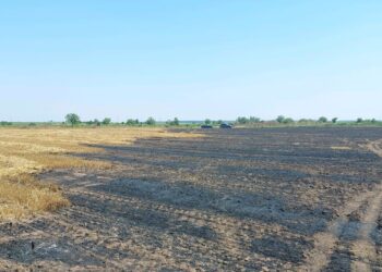 Amenzi aplicate de Garda de Mediu Brăila pentru producerea intenționată a unor incendii de miriște și vegetație uscată